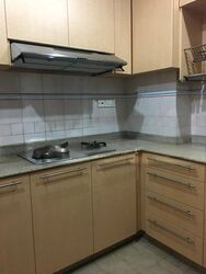 Dover Parkview (D5), Condominium #595347561